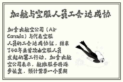 黄色张婉莹视频在线播放